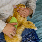 Pet Steam Brush – USB Rechargeable Grooming & Cleaning Tool