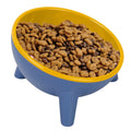 Raised Pet Bowl – Tilted Feeding Bowl for Cats & Small Dogs