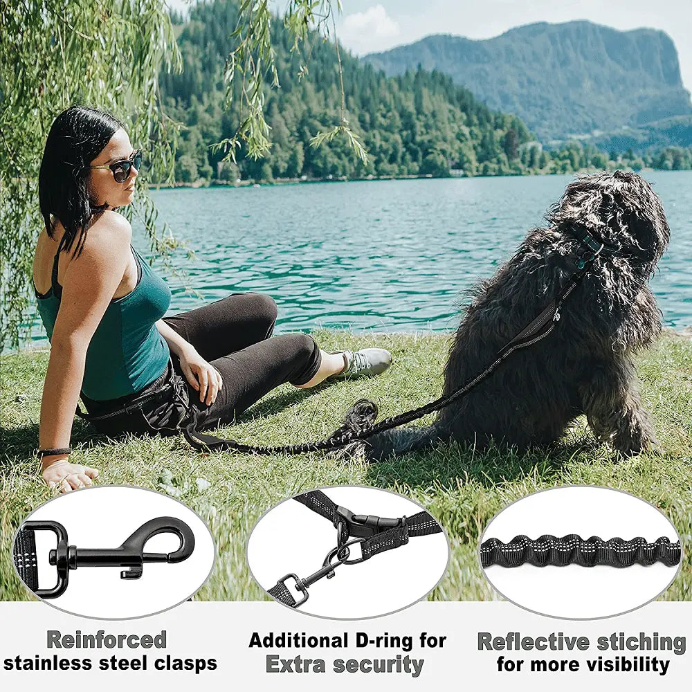Pet Retractable Belt Leash