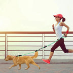 Dual Dog Leash – No-Tangle Reflective Leash with Padded Handle
