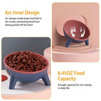 Raised Pet Bowl – Tilted Feeding Bowl for Cats & Small Dogs