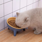 Raised Pet Bowl – Tilted Feeding Bowl for Cats & Small Dogs