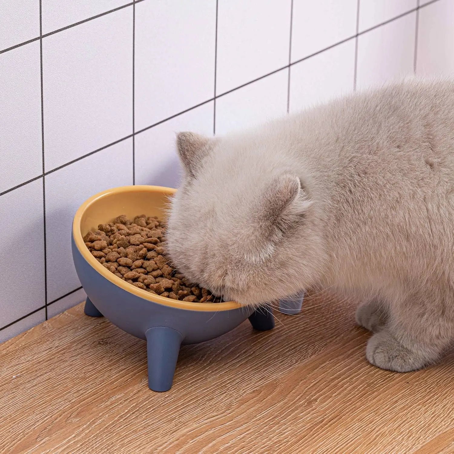 Raised Pet Bowl – Tilted Feeding Bowl for Cats & Small Dogs