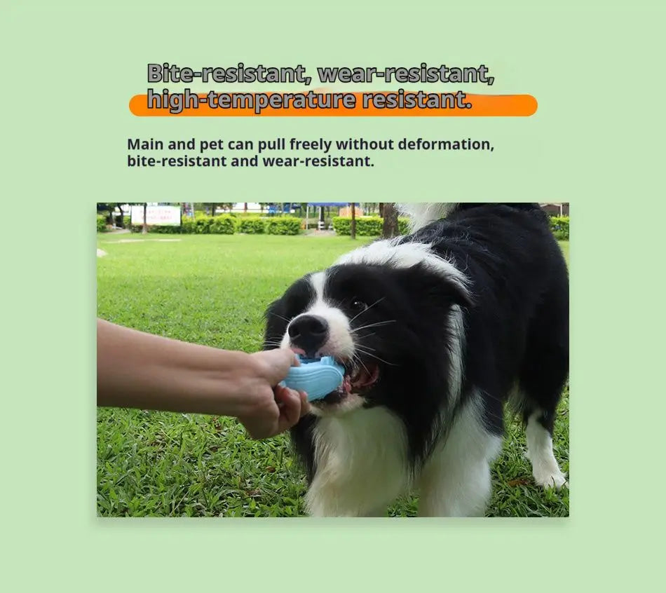 Corn Dog Chew Toy – Silicone Teething & Dental Toy