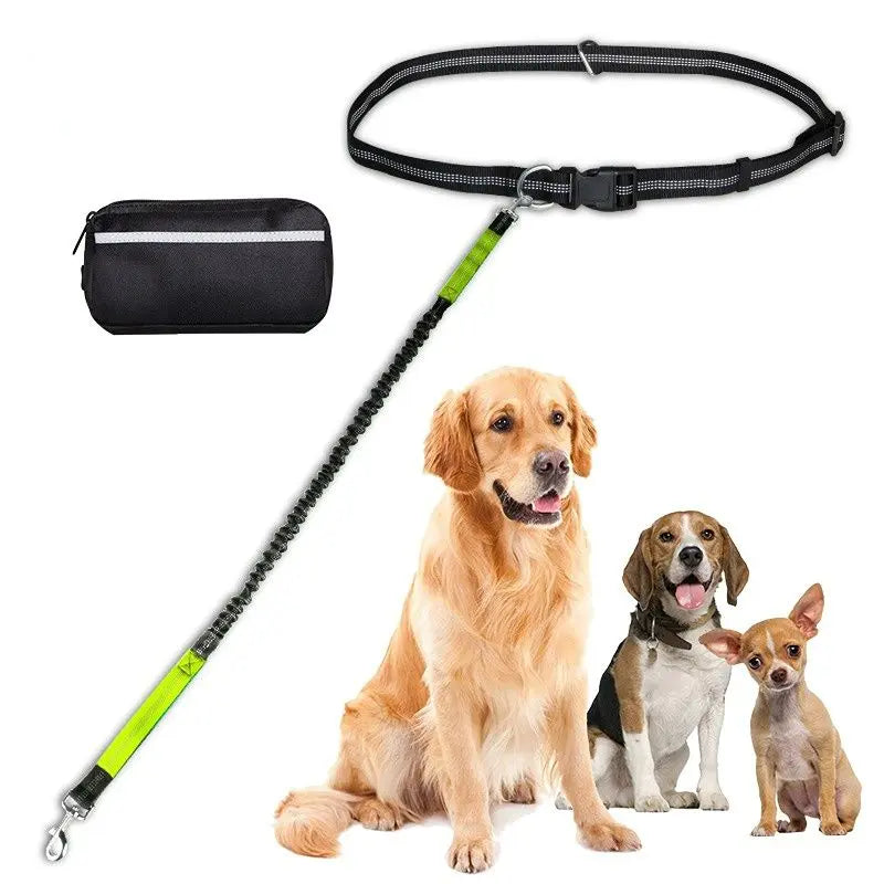 Hands-Free Leash – Bungee Dog Leash with Storage Pouch & Soft Handles