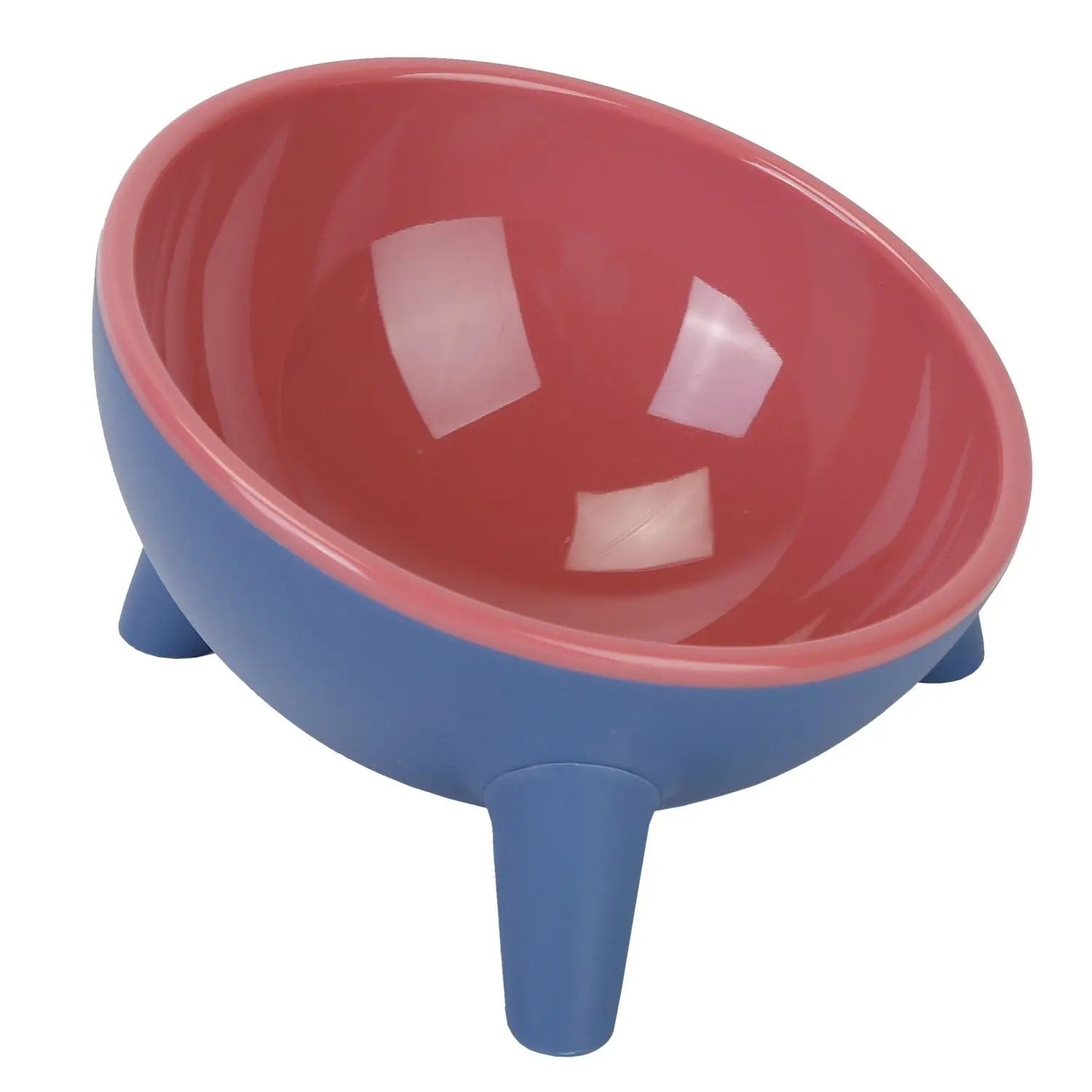 Raised Pet Bowl – Tilted Feeding Bowl for Cats & Small Dogs