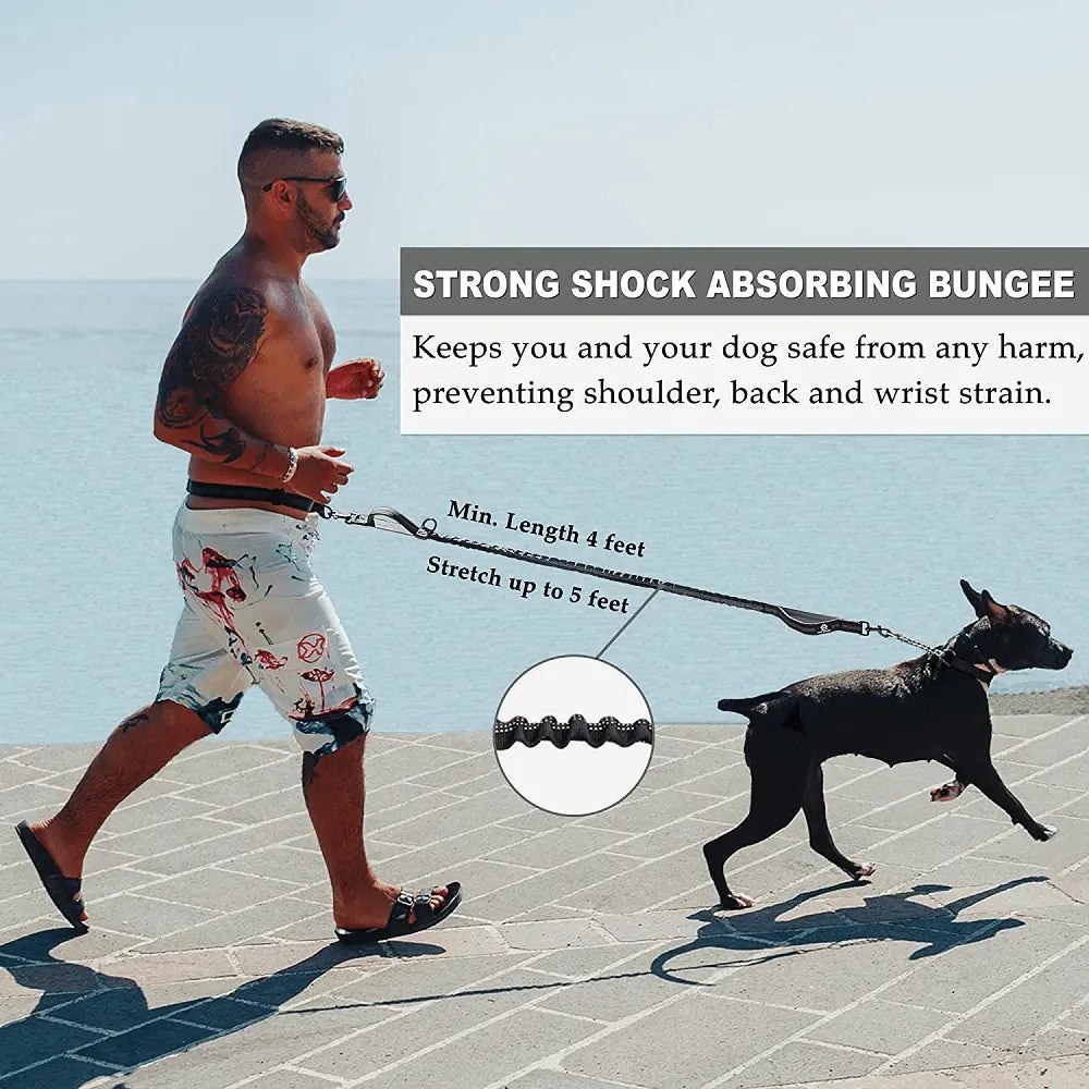 Pet Retractable Belt Leash