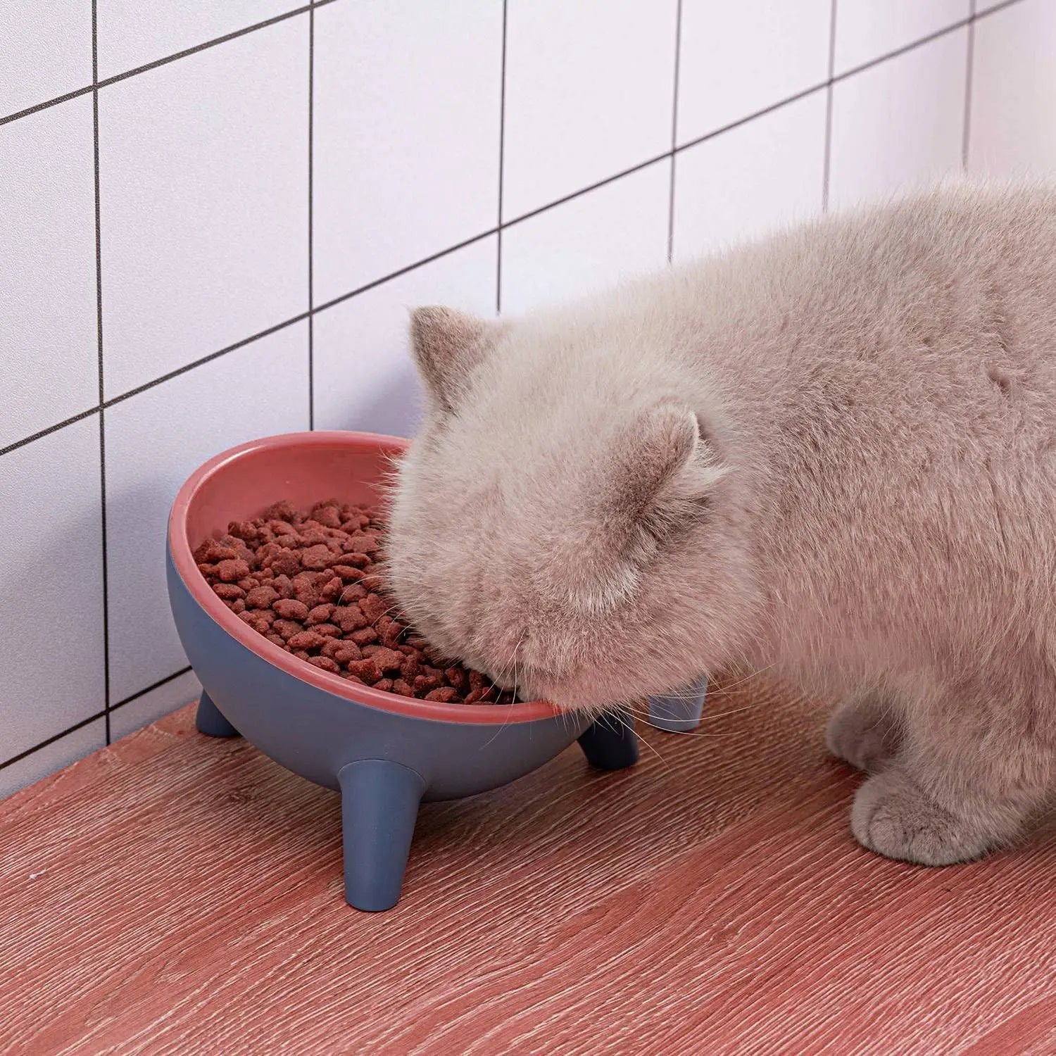Raised Pet Bowl – Tilted Feeding Bowl for Cats & Small Dogs