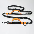 Pet Retractable Belt Leash