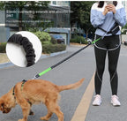 Hands-Free Leash – Bungee Dog Leash with Storage Pouch & Soft Handles