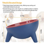 Raised Pet Bowl – Tilted Feeding Bowl for Cats & Small Dogs