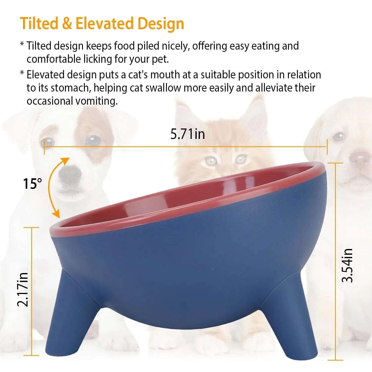 Raised Pet Bowl – Tilted Feeding Bowl for Cats & Small Dogs
