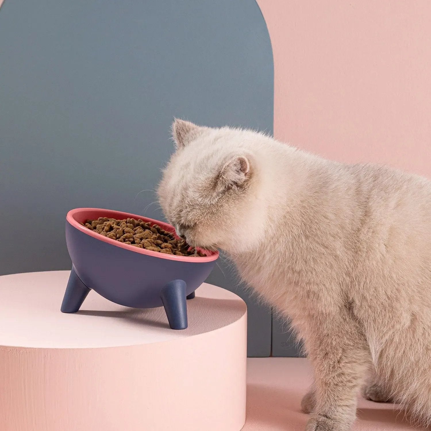 Raised Pet Bowl – Tilted Feeding Bowl for Cats & Small Dogs