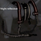 Pet Retractable Belt Leash
