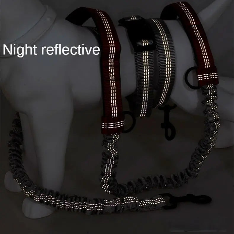 Pet Retractable Belt Leash