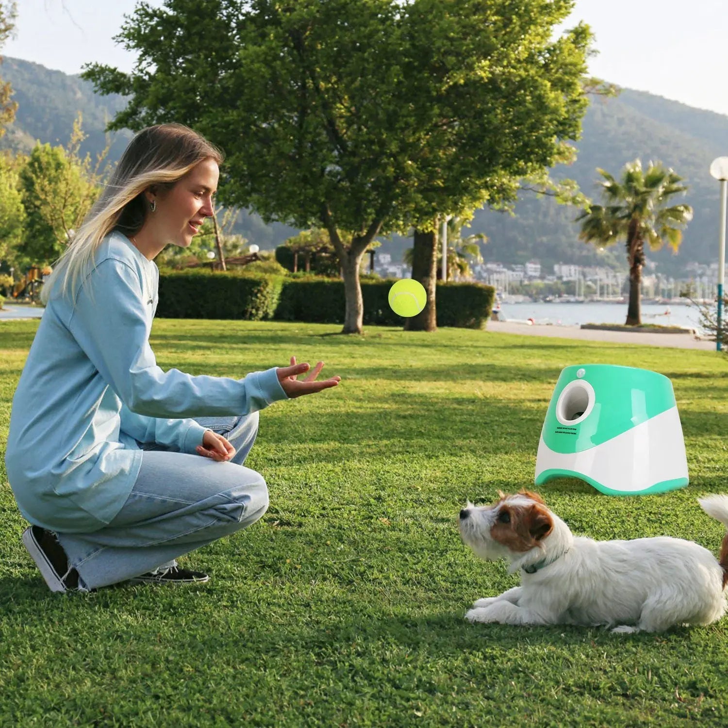 Dog Ball Launcher – Automatic Fetch Machine with Adjustable Distance
