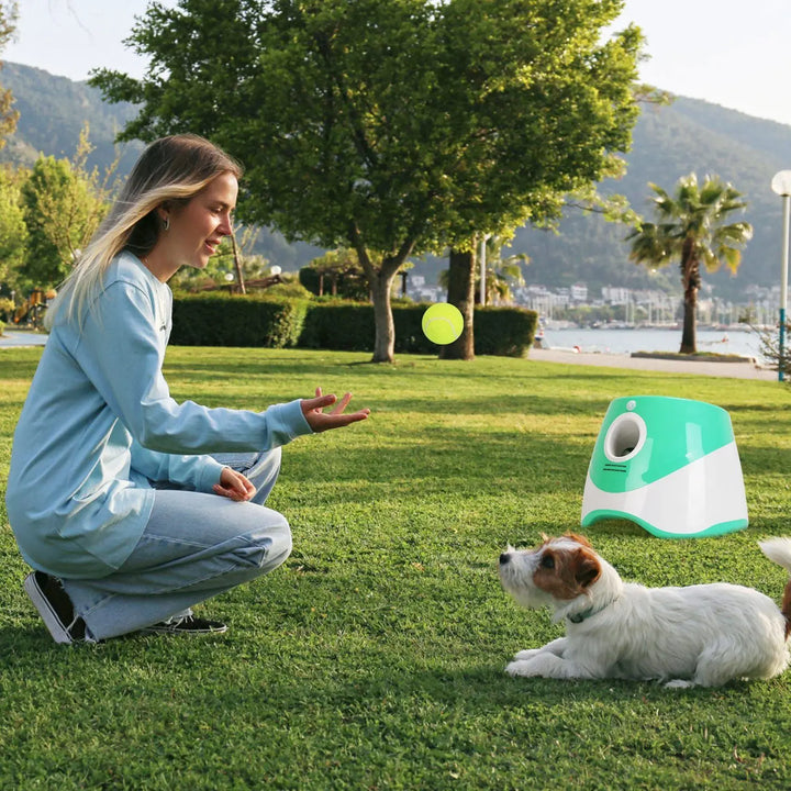 Dog Ball Launcher – Automatic Fetch Machine with Adjustable Distance ...