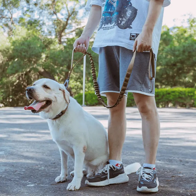 Tactical K9 Leash – Heavy Duty Adjustable Bungee