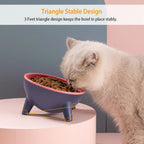 Raised Pet Bowl – Tilted Feeding Bowl for Cats & Small Dogs