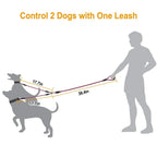 Dual Dog Leash – No-Tangle Reflective Leash with Padded Handle