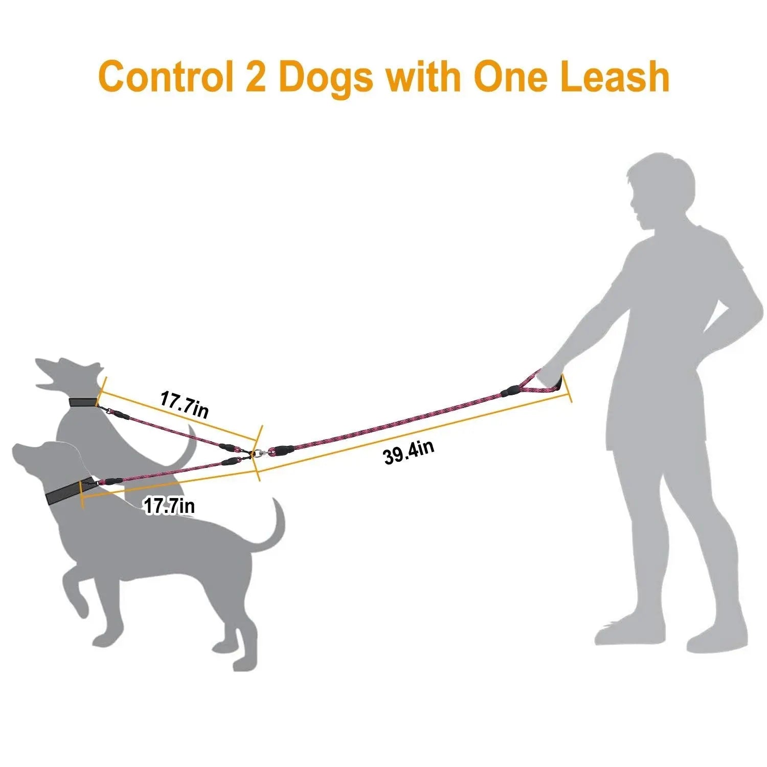 Dual Dog Leash – No-Tangle Reflective Leash with Padded Handle