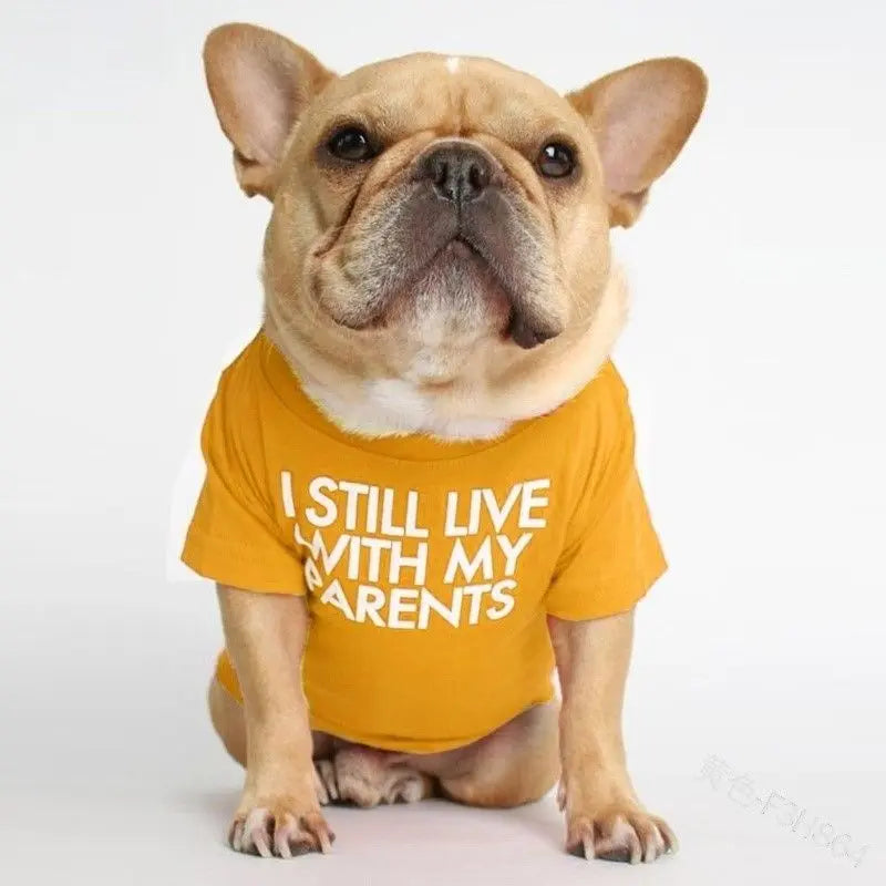 Pet T-Shirt – Soft Dog Shirt for Small & Medium Dogs