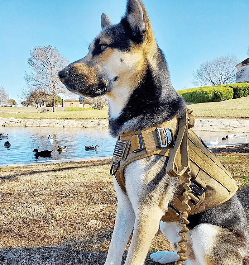 Tactical K9 Leash – Heavy Duty Adjustable Bungee