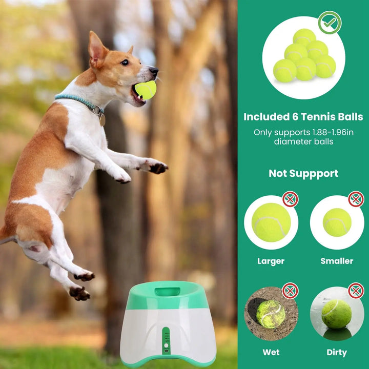 Dog Ball Launcher – Automatic Fetch Machine with Adjustable Distance ...