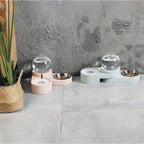 Dog & Cat Feeder – Large Auto Water Fountain with Food Bowl