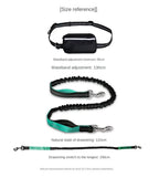 Hands-Free Leash – Bungee Dog Leash with Storage Pouch & Soft Handles