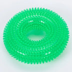 2 Pack Dog Toys – Bite-Resistant Squeaky Chew Balls