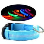 Glow Dog Collar – LED Safety Collar for Night Visibility
