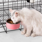 Hanging Dog & Cat Bowl – Stainless Steel Cage Feeding Bowl