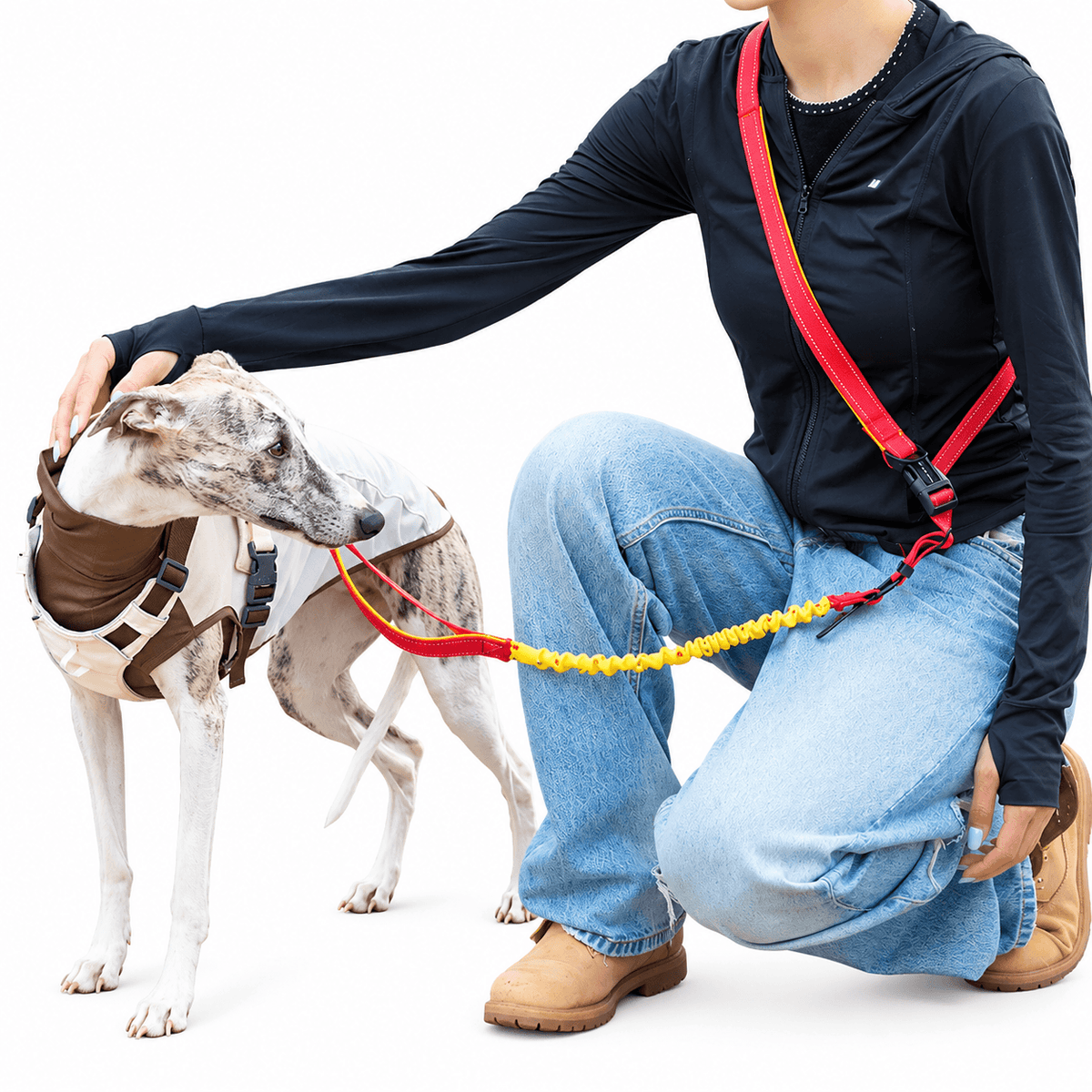 4-in-1 Hands-Free Dog Leash – Adjustable Bungee Lead Fursera