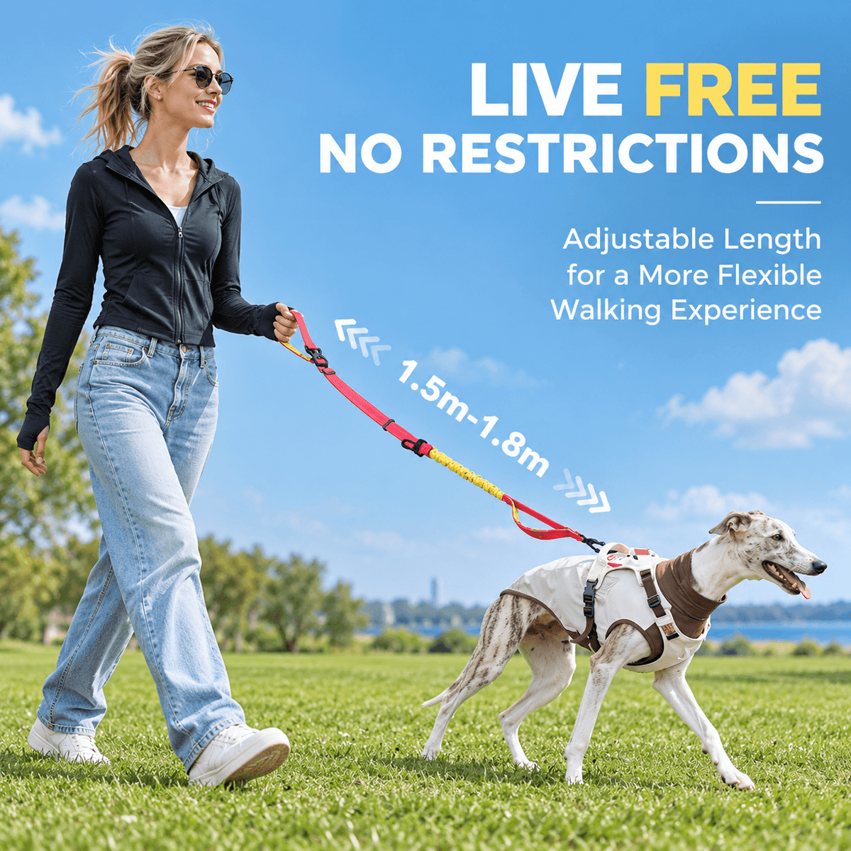 4-in-1 Hands-Free Dog Leash – Adjustable Bungee Lead Fursera