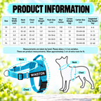 Personalized Dog Harness with Name Patch – Free Matching Color Leash Fursera