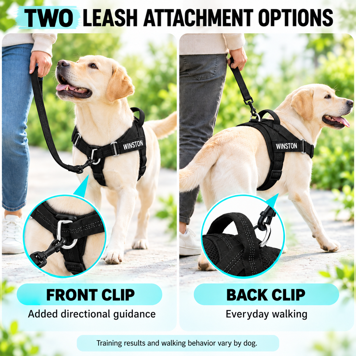 Personalized Dog Harness with Name Patch – Free Matching Color Leash Fursera