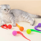 Colorful Bouncing Ball Cat Toys (5 Pack)