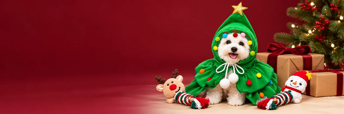 Christmas tree pet costume and festive rope toys