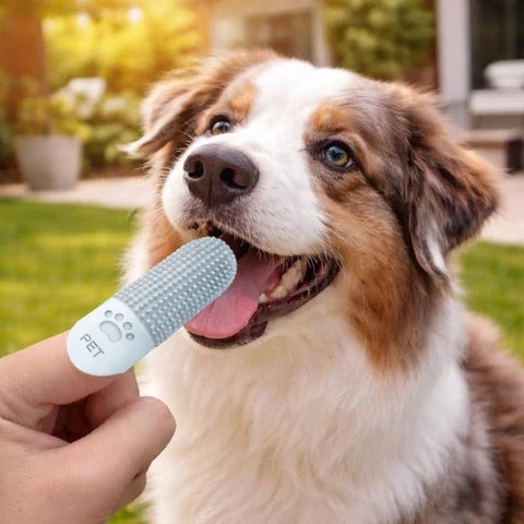4-Pack 360° Silicone Pet Finger Toothbrush for Dogs & Cats Fursera