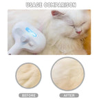2 in 1 Pet Spray Hair Removal Comb
