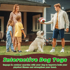 Durable Fetch & Training Ball for Dogs