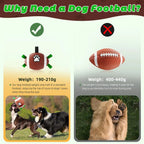Durable Fetch & Training Ball for Dogs