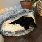 Calming Cowry Pet Bed – Cozy Anti-Anxiety Dog & Cat Bed