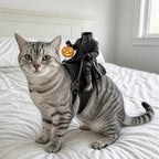 Headless Horseman Cat Costume – Funny 3D Halloween Pet Costume Fursera