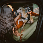 Dog Car Seat Bed – Faux Leather Booster for Medium & Large Dogs