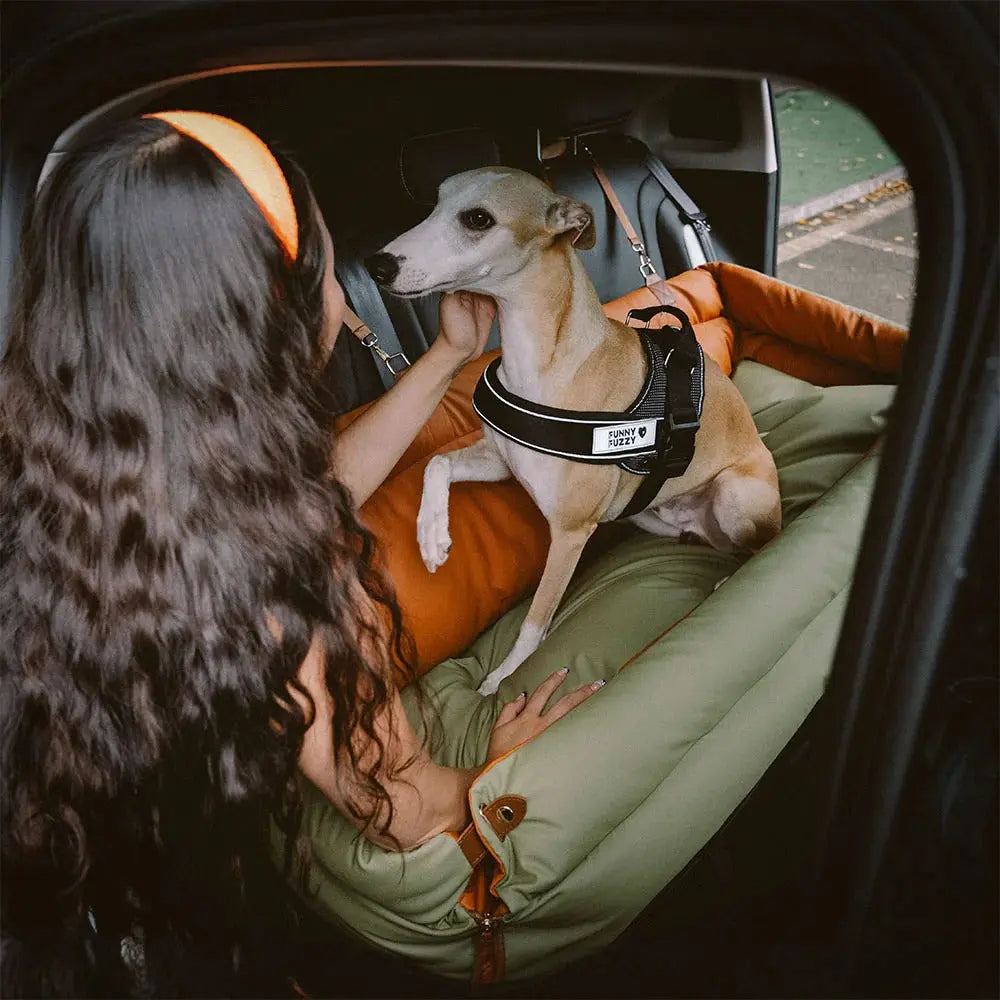 Dog Car Seat Bed – Faux Leather Booster for Medium & Large Dogs
