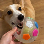 Durable Dog Toy Ball – Stress Relief Chew & Play Toy