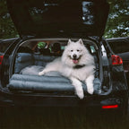 Dog Car Seat Bed – Faux Leather Booster for Medium & Large Dogs