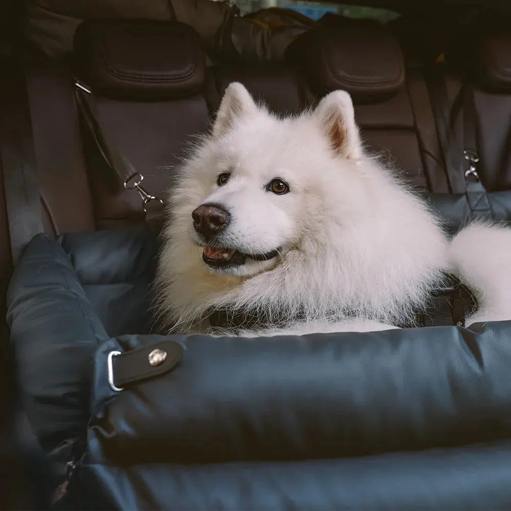 Dog Car Seat Bed – Faux Leather Booster for Medium & Large Dogs
